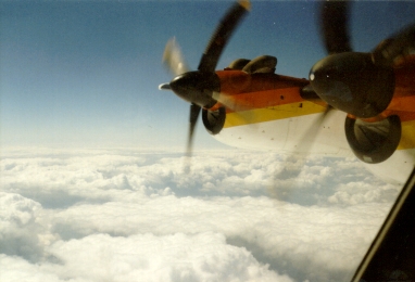 Copilot's view