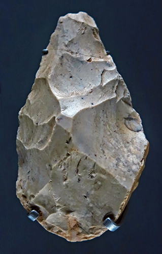 Biface