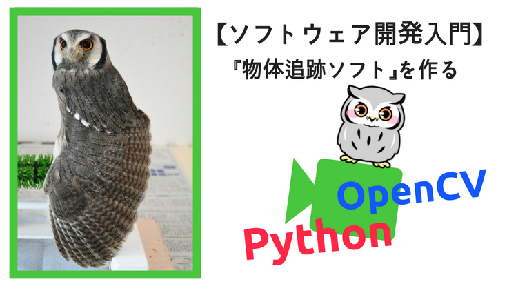 ソフトウェア開発入門