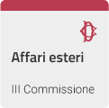 III COMMISSIONE (AFFARI ESTERI E COMUNITARI)