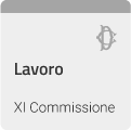 XI COMMISSIONE (LAVORO PUBBLICO E PRIVATO)