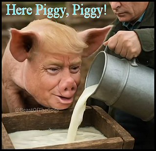 TPig2F Who's the Piggy?