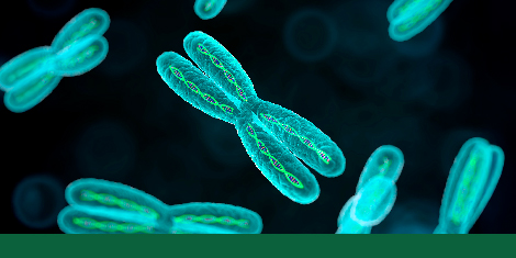 PLOS Genetics