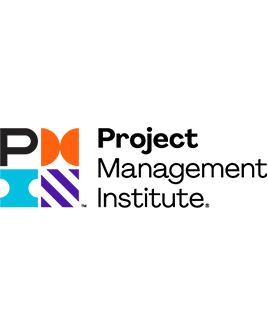 PMI Icon