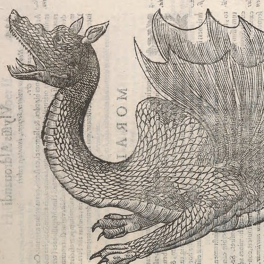 dragon