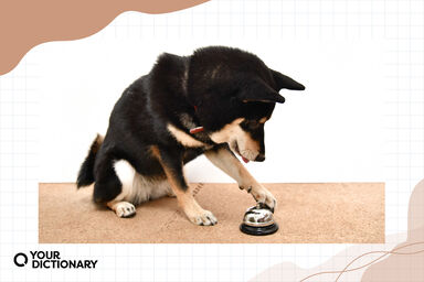 10 Classical Conditioning Examples in Everyday Life