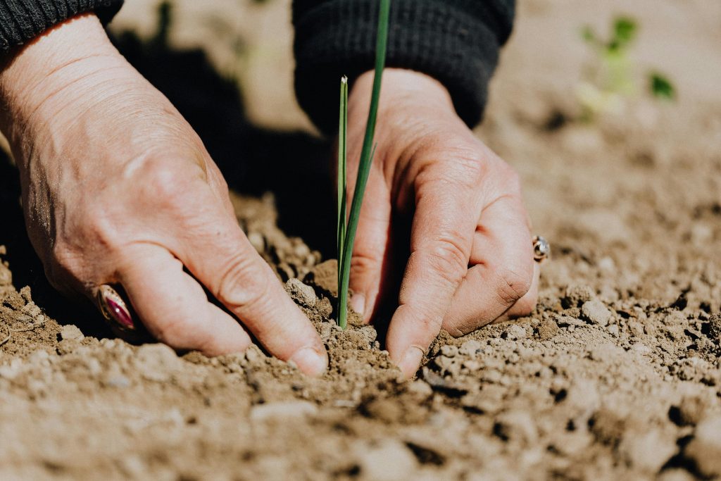 Unexpected Deeds Plant Purposeful Seeds