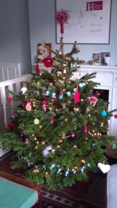 O Christmas Tree, O Christmas Tree... Christmas is nearly here!