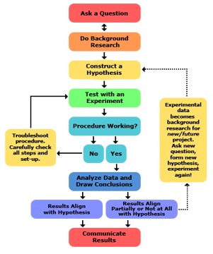 The Scentific Method