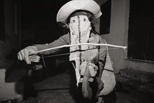 bl000252_fiddler