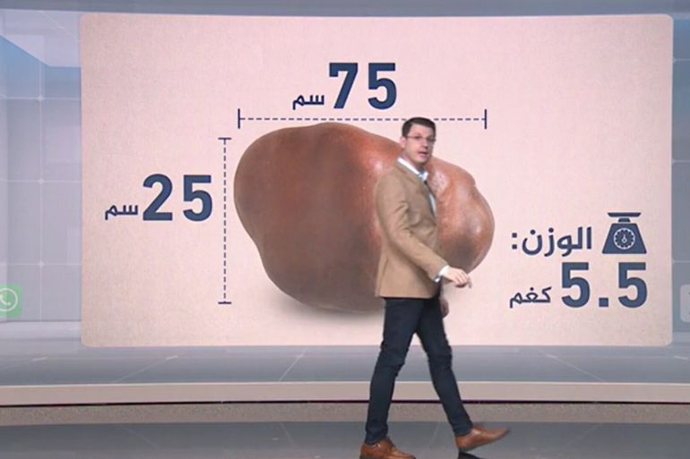 (الجزيرة)
