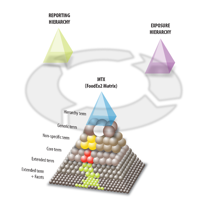 FoodEx2 Structure