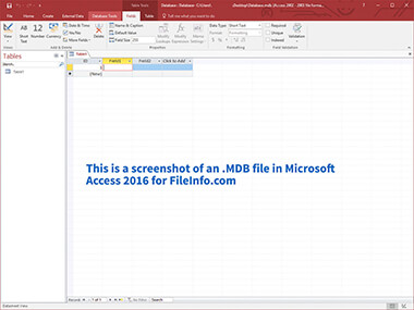 MDB File Screenshot Screenshot of a .mdb file in Microsoft Access 2016