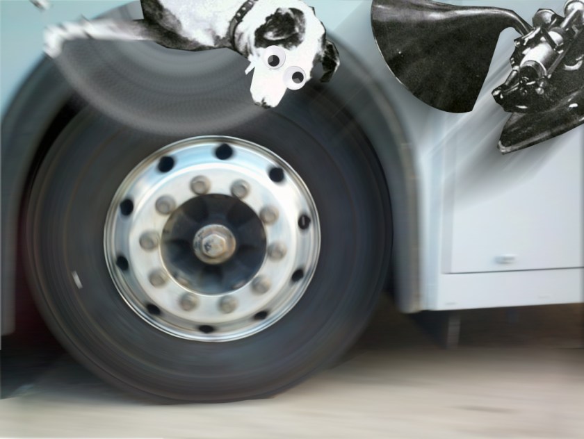 A rapidly spinning bus-wheel; Nipper the RCA dog has caught the wheel and is spinning with it, his eyes crazed; the gramophone he is normally pictured listening to is flying off to the upper right.