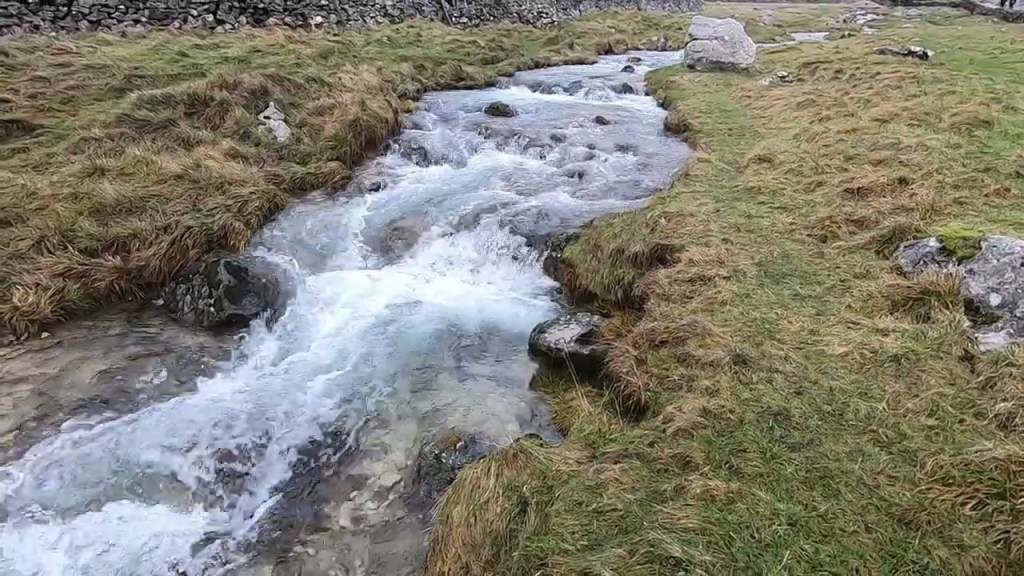 Stream 2024