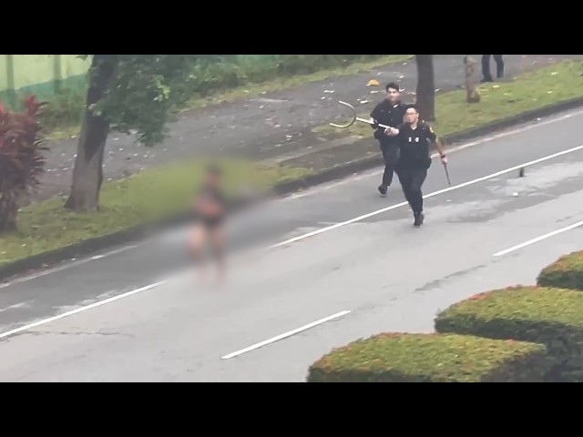 Thai worker arrested after hot dog heist, knife rampage injures 7