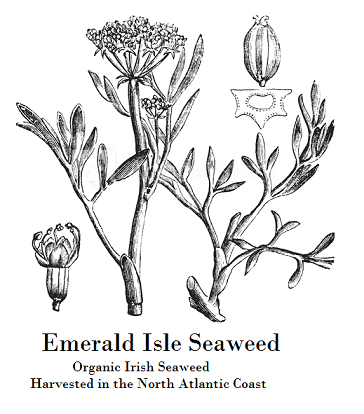 Our sister company, Emerald Isle Seaweed