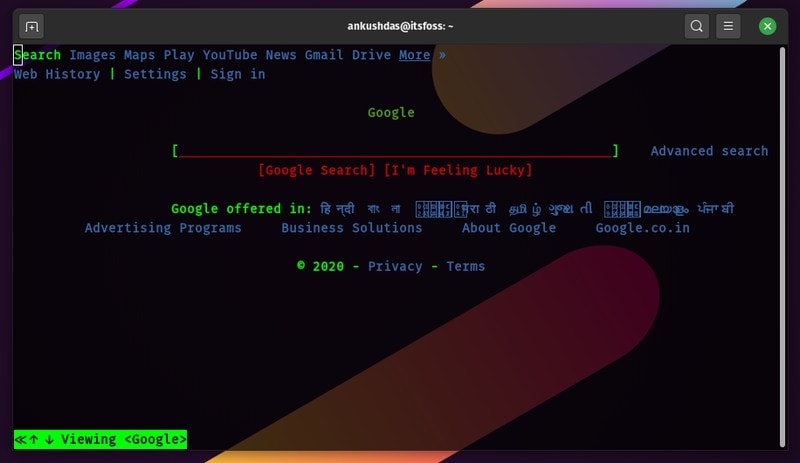 W3m Google