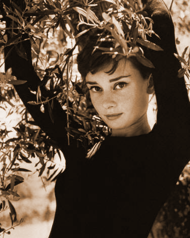 Audrey Hepburn Audrey Hepburn