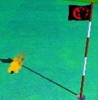 Tournament green in Mario Golf: World Tour