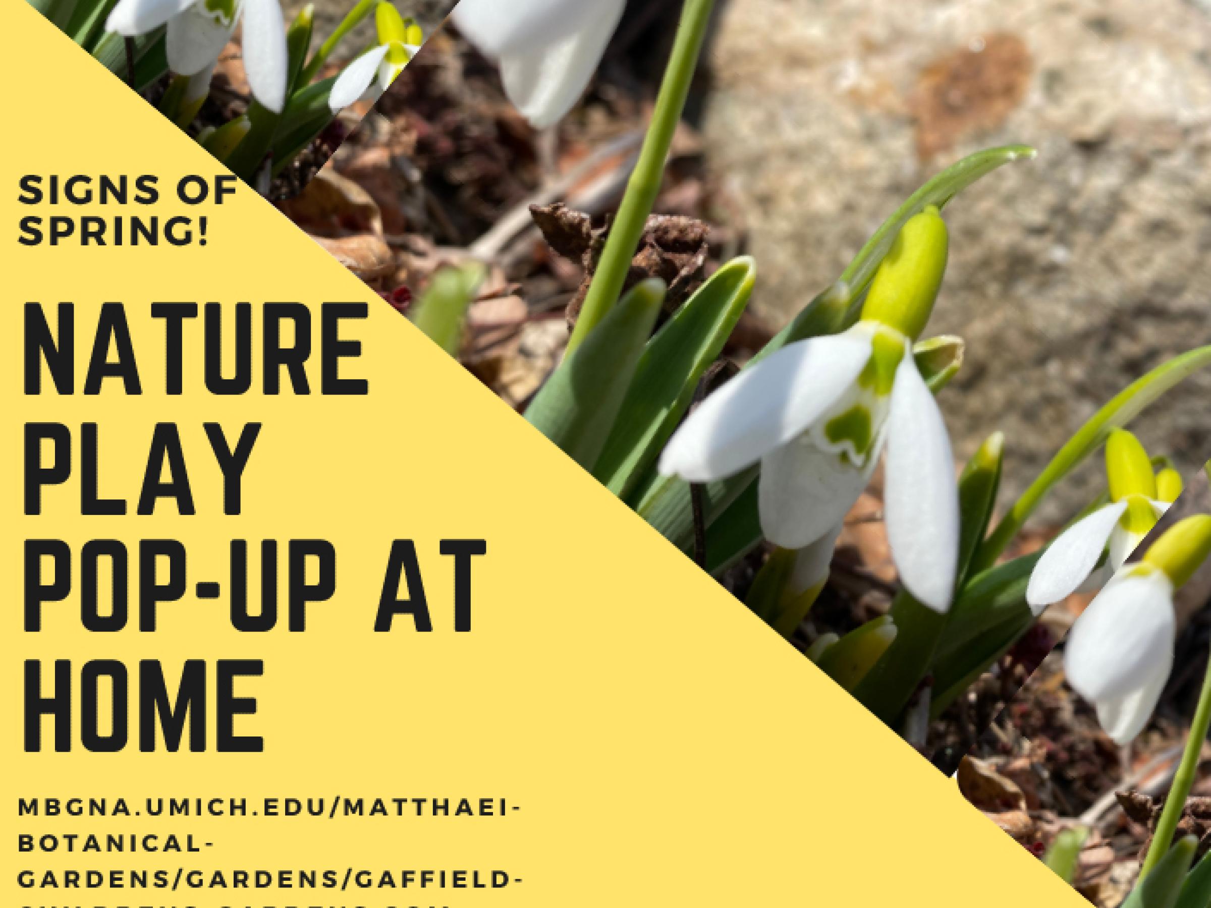 Signs of spring
