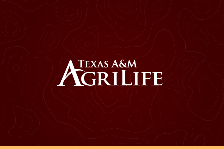 Agriculture and Life Sciences faculty join University Distinguished Professor ranks
