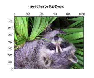 Flipped_image