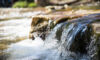 Why water treatment? Nordic Capitalโs Andreas Nรคsvik on sectorโs attractiveness; Bridgepoint backs Danish defense biz; Ardian to buy German BMS company stake Water stream