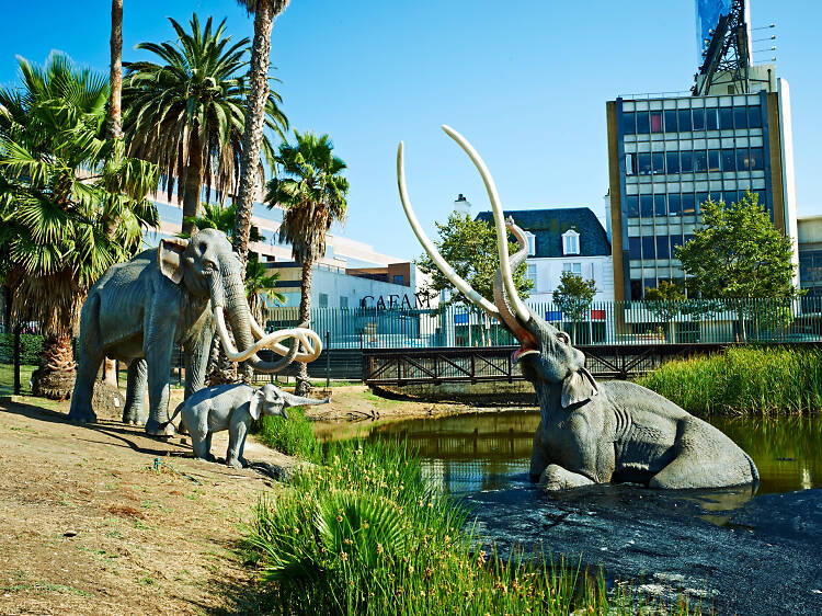 La Brea Tar Pits and Museum La Brea Tar Pits and Museum