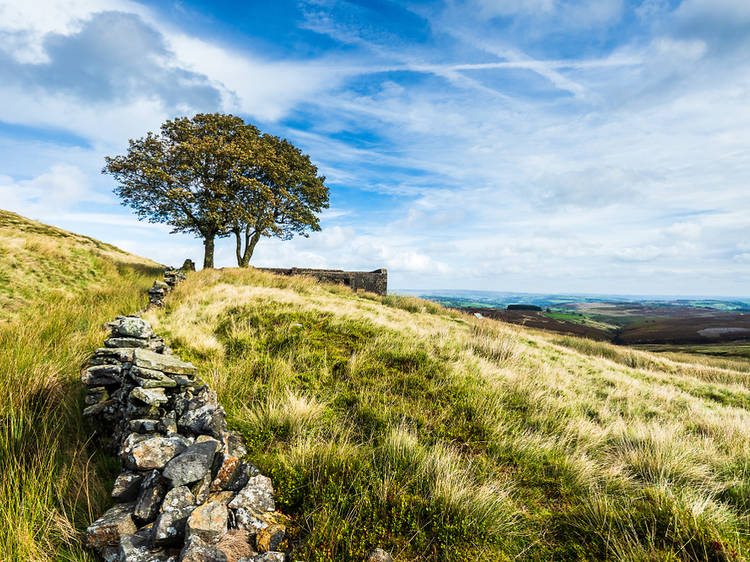 Haworth Haworth