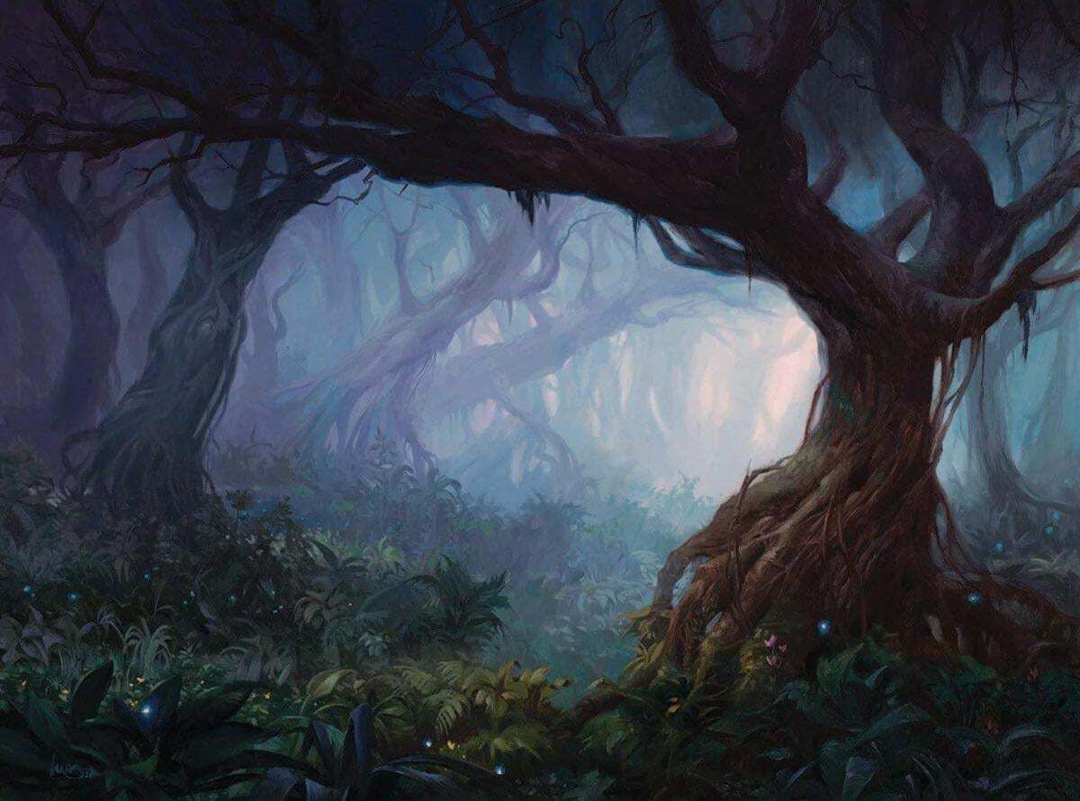 Wild Wilderness (trope)
