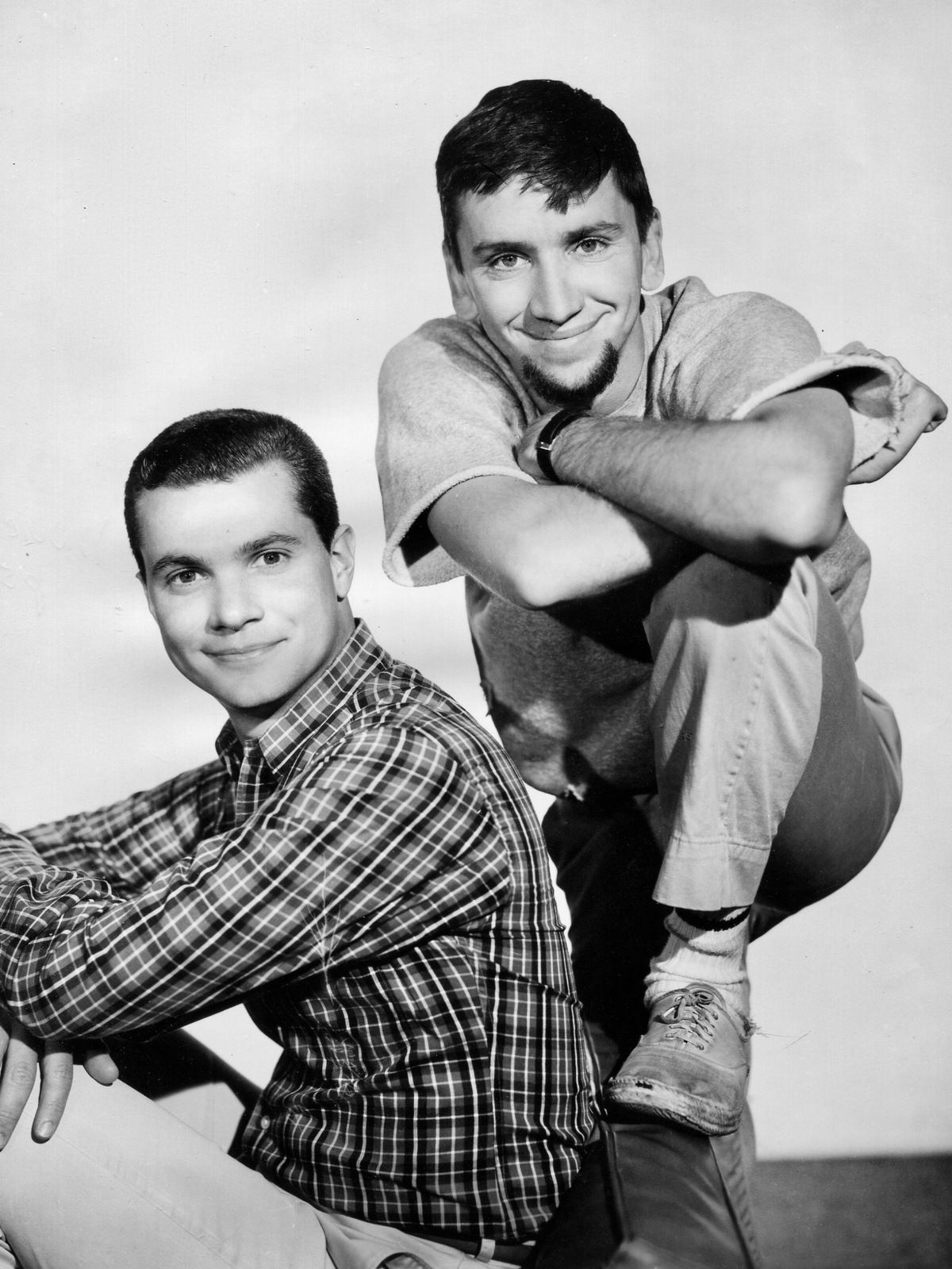The Many Loves of Dobie Gillis (Series)