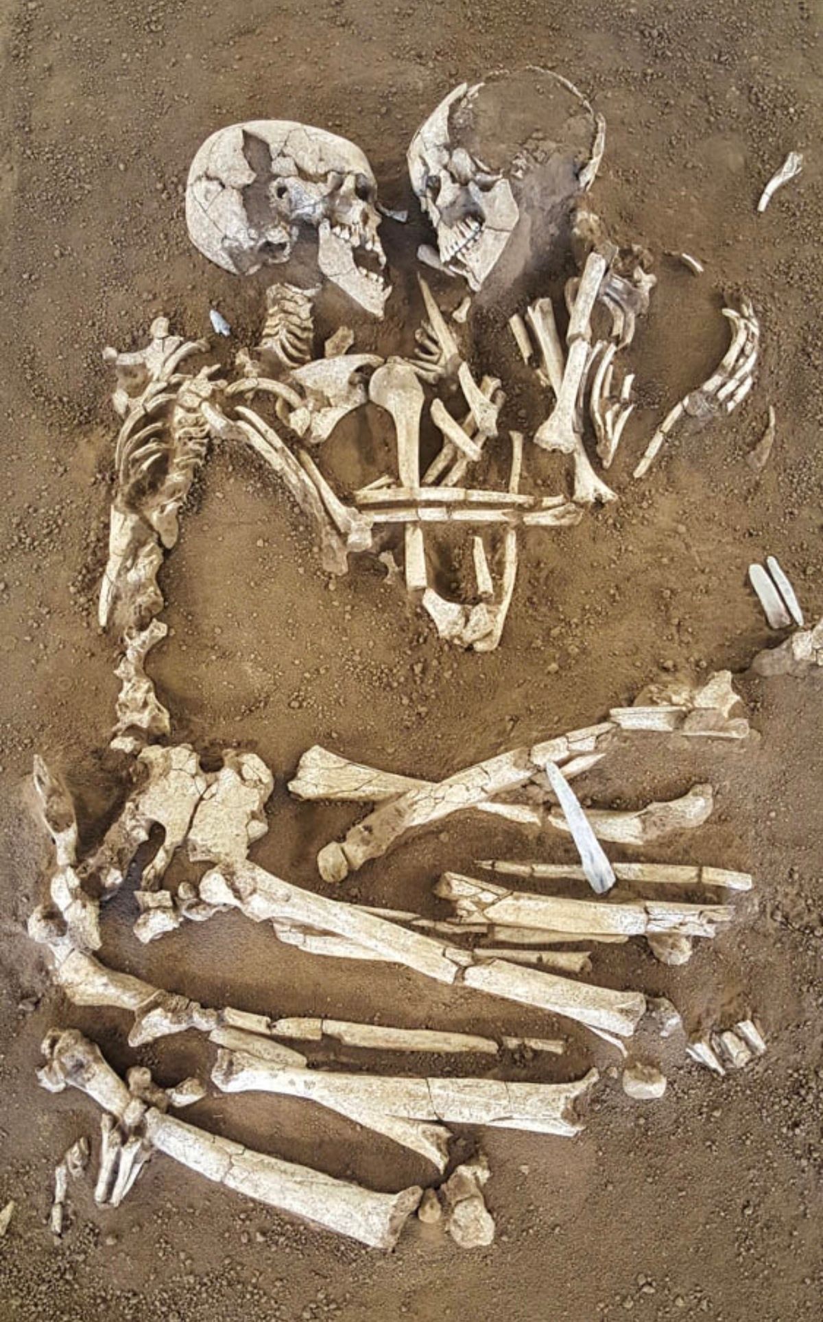 Together in Death (trope)