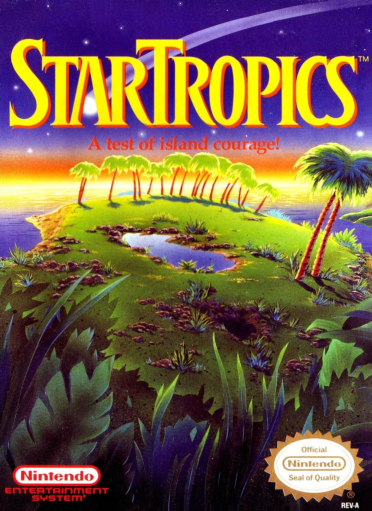 StarTropics (Video Game)