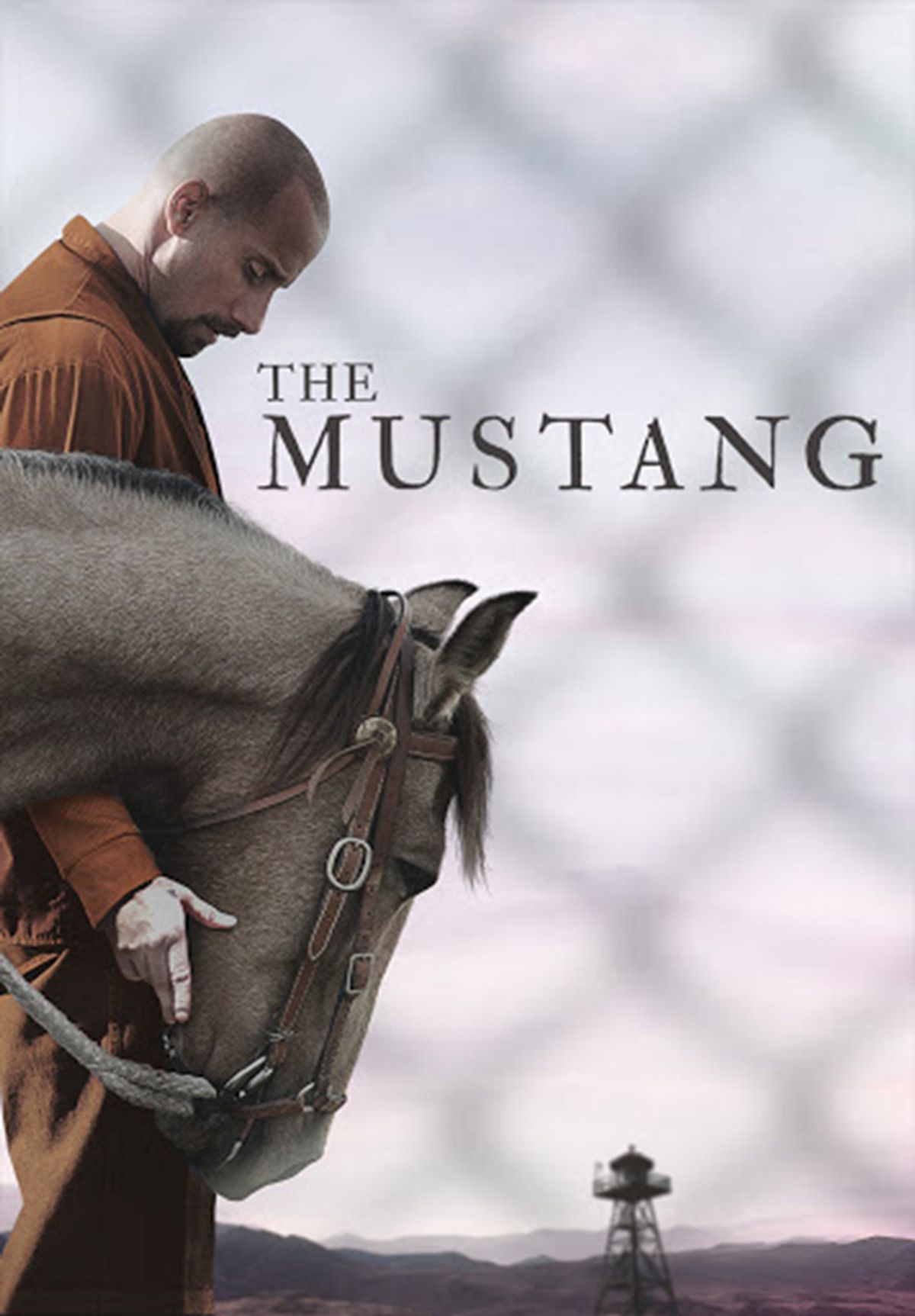 The Mustang (Film)
