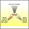 Urea cycle Urea cycle