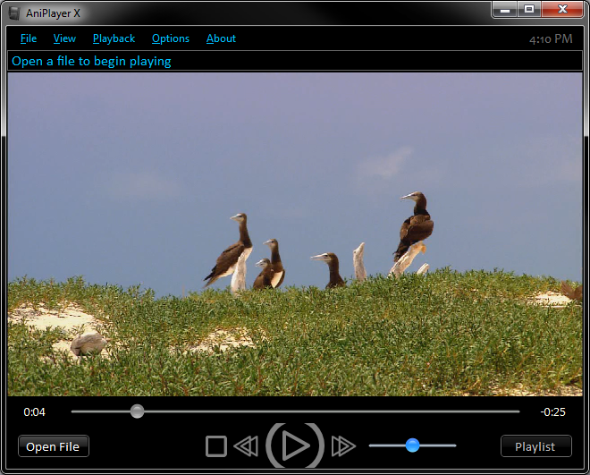 AniPlayer 1.3 screenshot