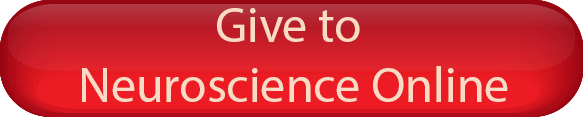 Donate to Neuroscience Online
