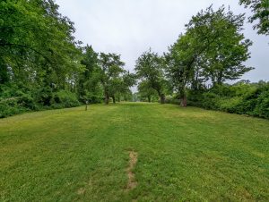 A lush green grassy area bordered by dense trees on both sides, creating a pathway that extends into the distance under a cloudy sky.