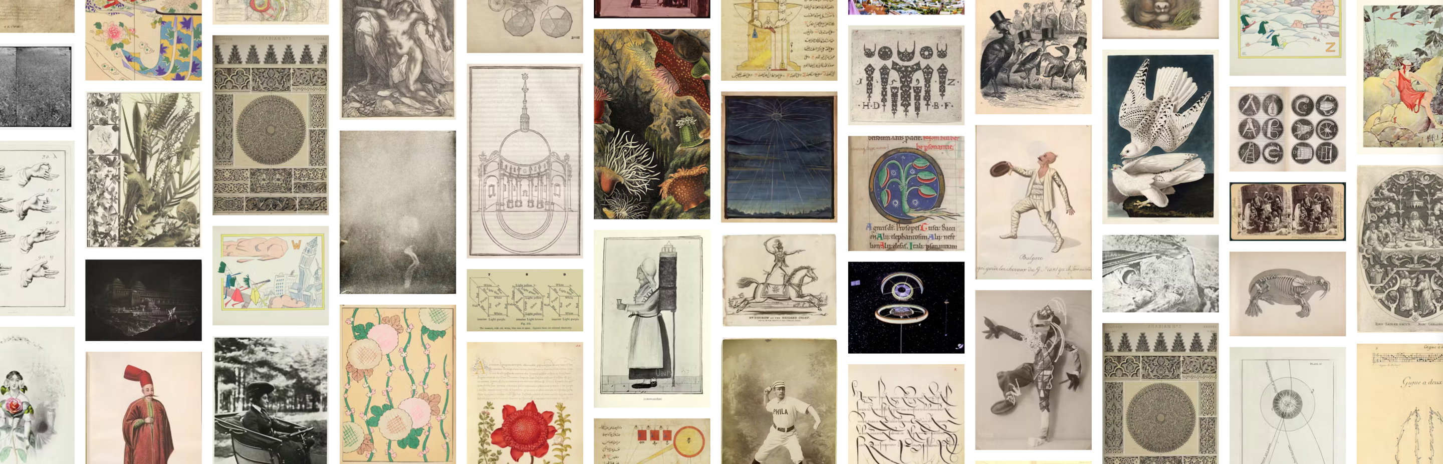 Grid of images from the PDIA