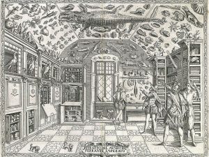 Natural History Cabinet 1599
