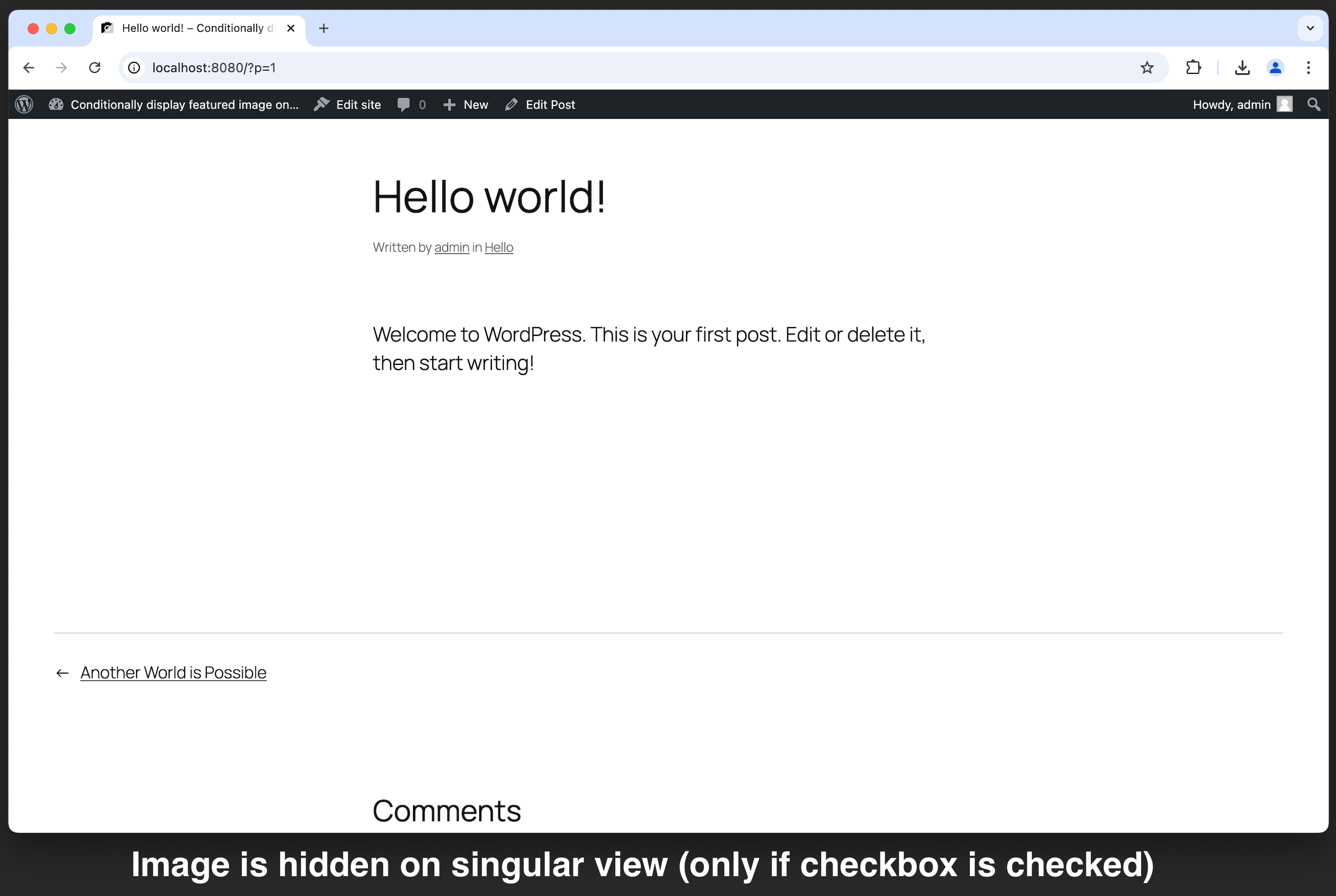 Frontend (Post / Page / Singular View)