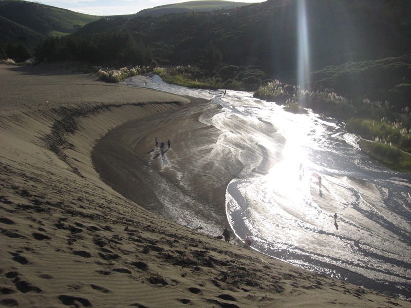 River seen from the top of the dune
