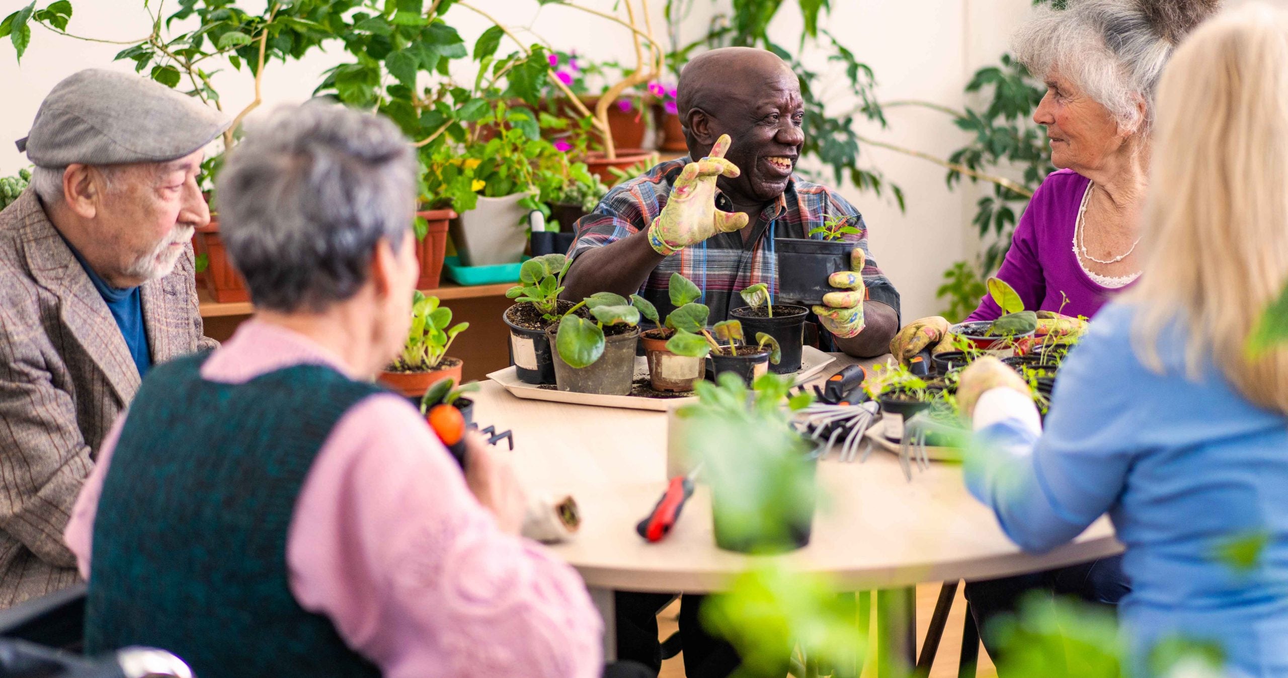 Group of older adults gardening