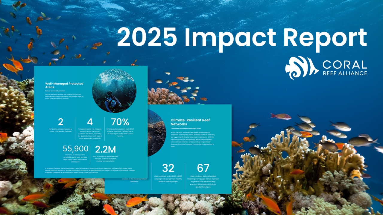 Capturas de pantalla del Informe de impacto 2025 de Coral Reef Alliance