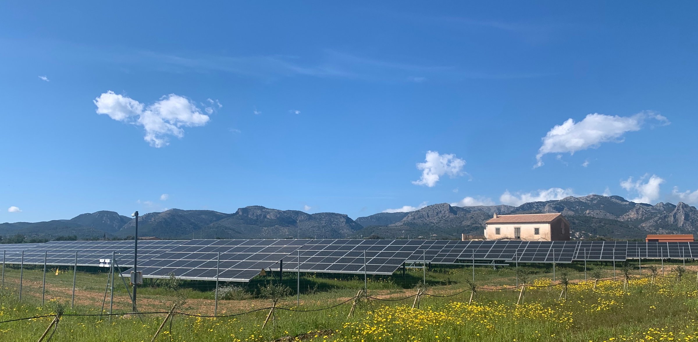 Solar field in rural Mallorca, Spain (Photo: Mireia Jimenez)