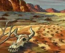 Desert Skull (trope)