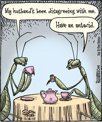 Mantis Mating Meal (trope)