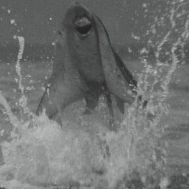 https://static.tvtropes.org/pmwiki/pub/images/bostang.jpg