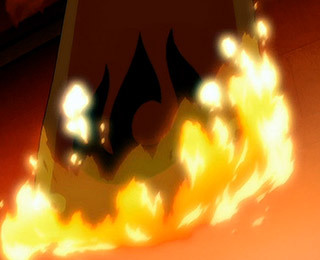 Burning the Flag (trope)